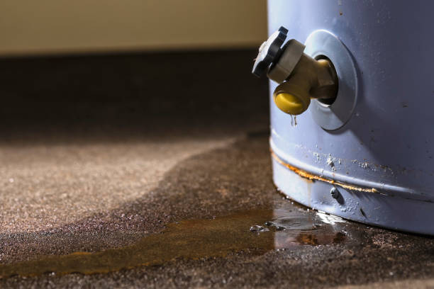 Best Professional water damage repair  in Cheat Lake, WV