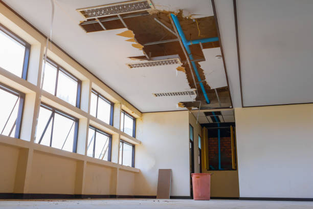 Best Flood restoration services  in Cheat Lake, WV