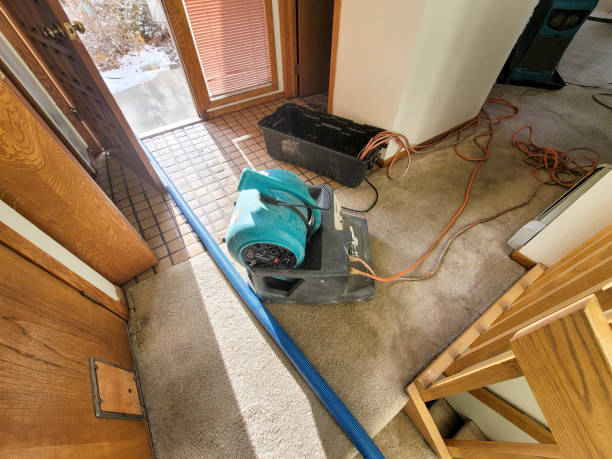 Best 24-hour water damage restoration  in Cheat Lake, WV