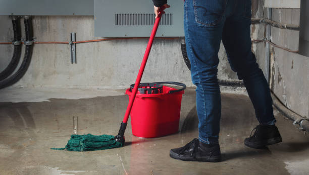 Best Ceiling water damage repair  in Cheat Lake, WV