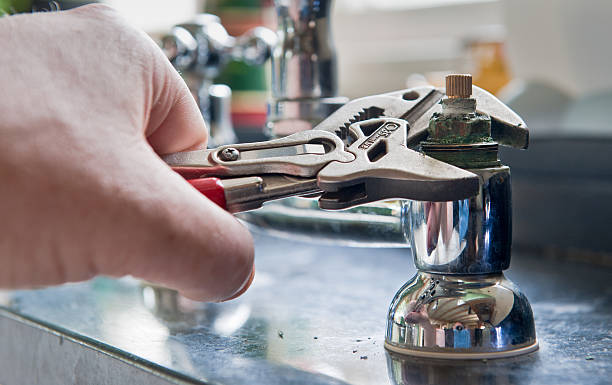 Best Flood damage cleanup  in Cheat Lake, WV