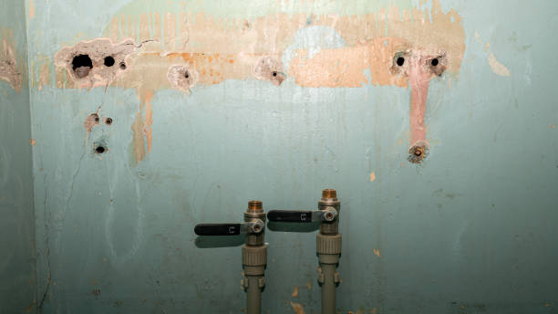 Best Local water damage restoration  in Cheat Lake, WV