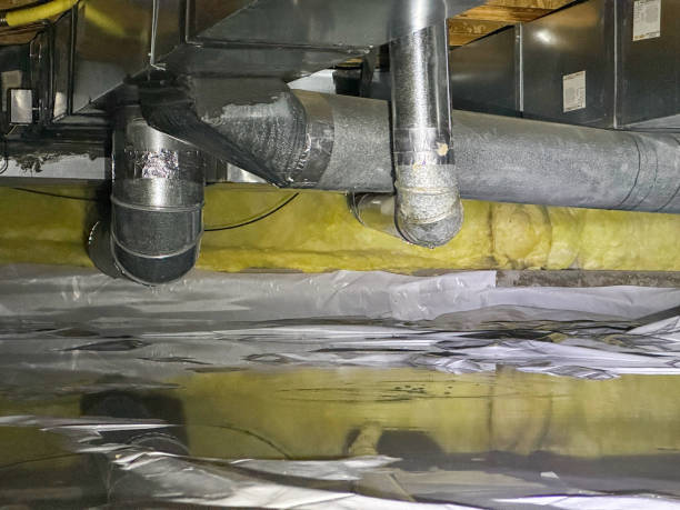Best Sewage cleanup and water damage restoration  in Cheat Lake, WV