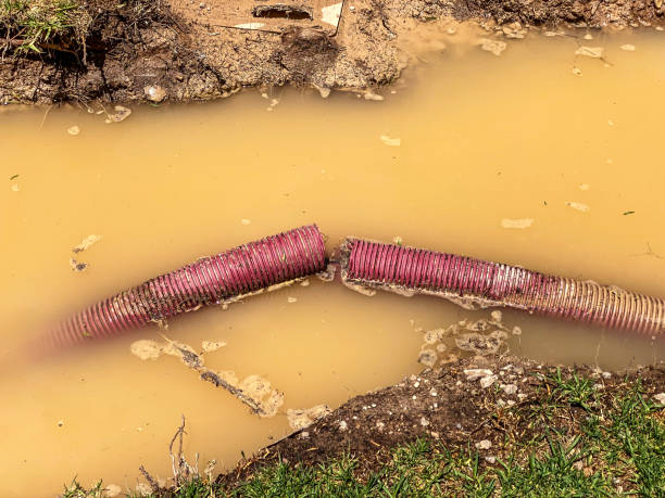 Best Commercial water damage restoration  in Cheat Lake, WV